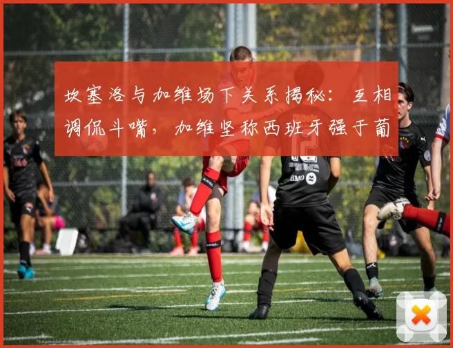 坎塞洛与加维场下关系揭秘：互相调侃斗嘴，加维坚称西班牙强于葡萄牙，2026世界杯再较高下